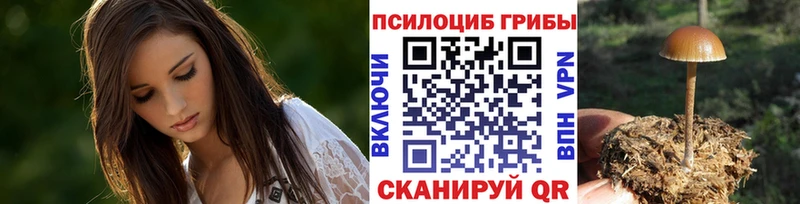 Купить закладки  Карабаш  Псилоцибиновые грибы прущие грибы 